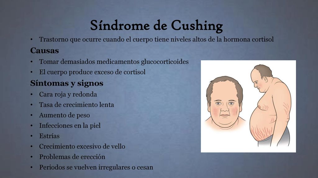 impotencia endocrina impotencia endocrina
